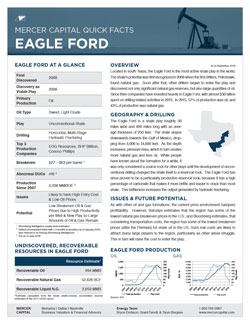 cover_Mercer-Capital_Quick-Facts-Eagle-Ford