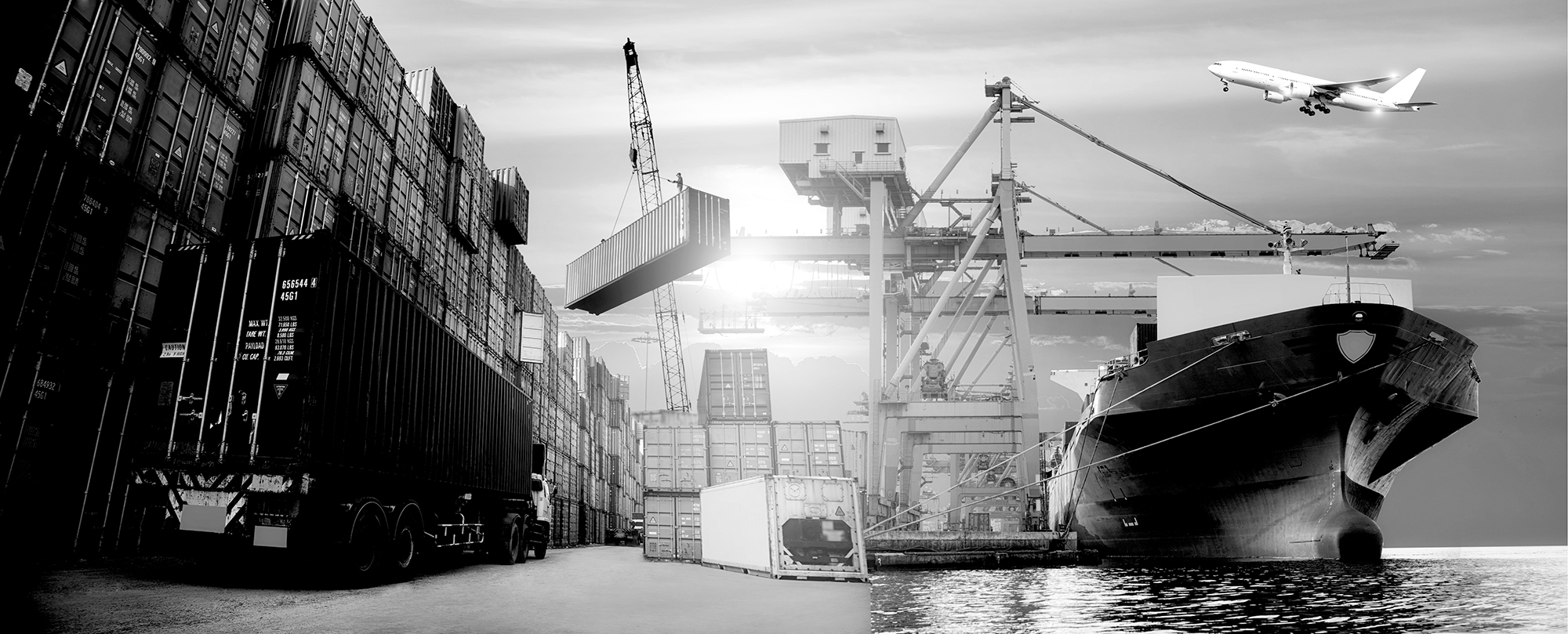 Coming Off the COVID Wave