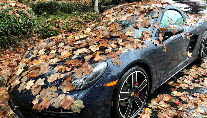 Are Wealth Management Margins About to Get Buried?