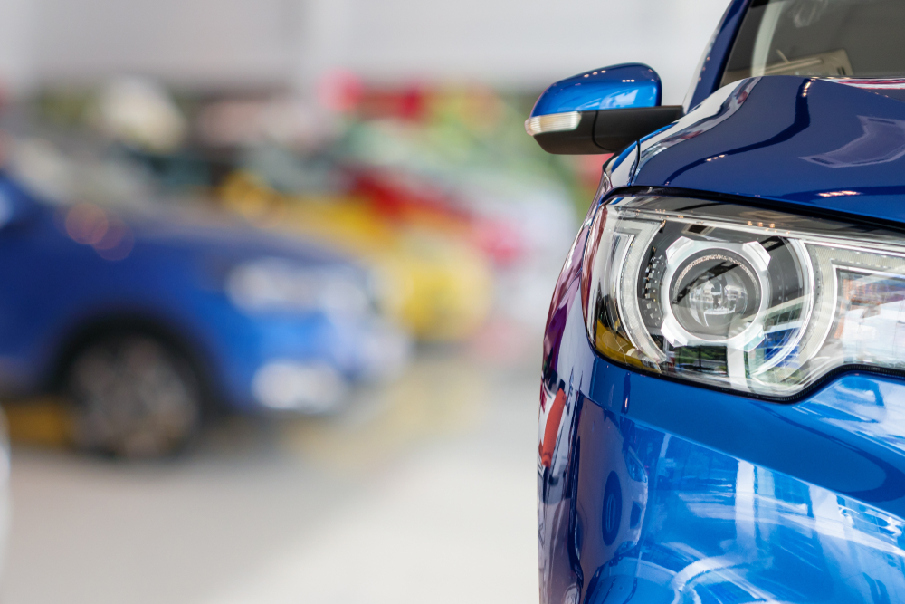 Issue No. 11 | Data as of Mid-Year 2023