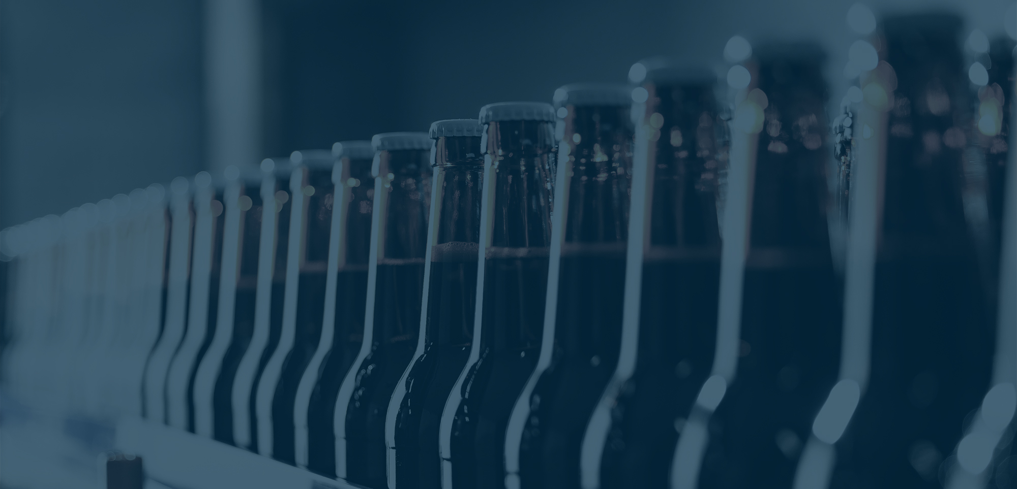 Opportunities for Ownership Succession in the Beer Wholesaler Industry