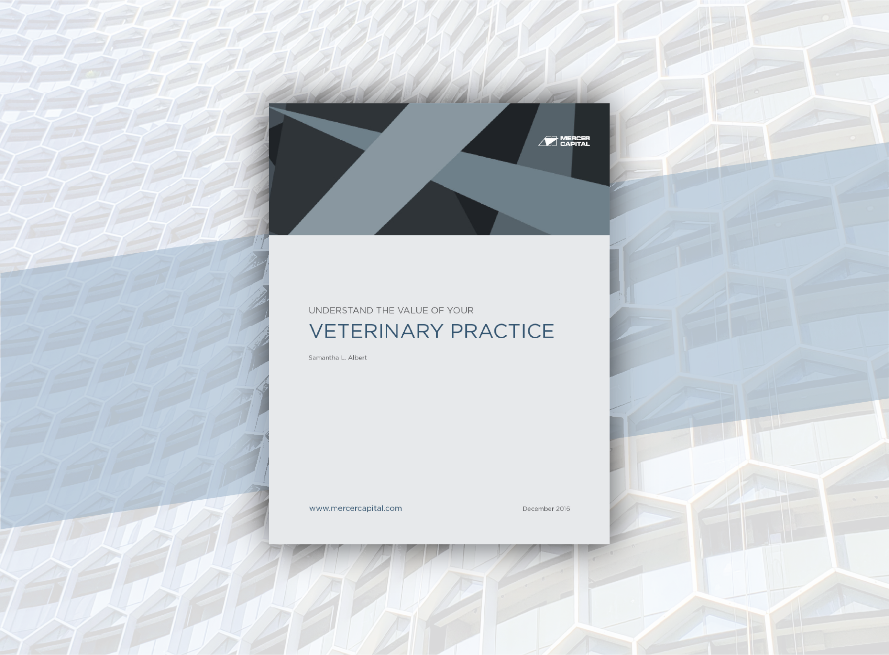 Understand the Value of Your Veterinary Practice