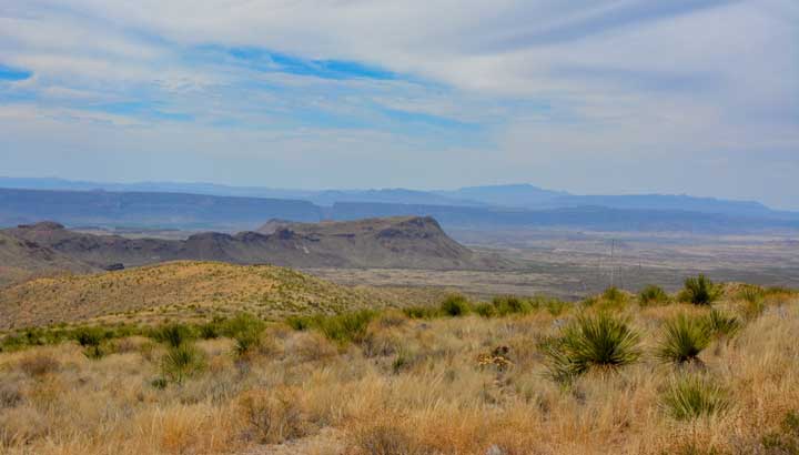 Modest Production Growth for Eagle Ford