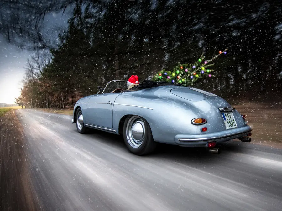 Porsche-and-tree-1024x768-1.jpg