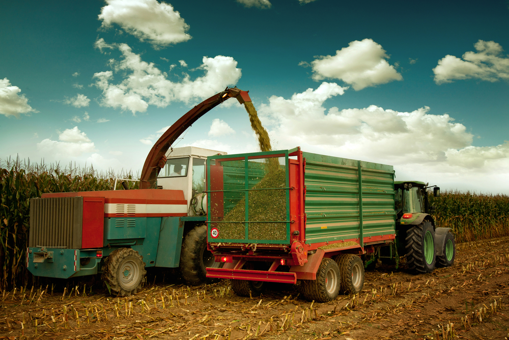 What Time is it for Your Family Business?