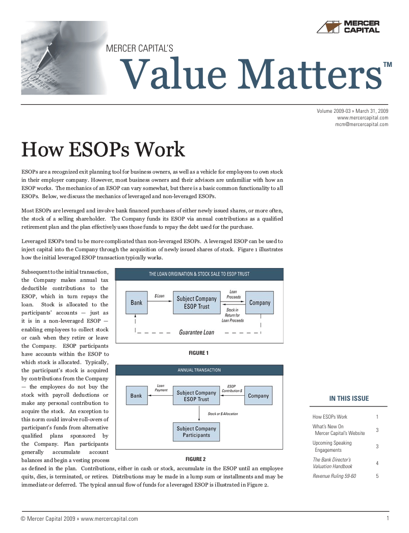 Mercer Capital’s Value Matters 2009-03