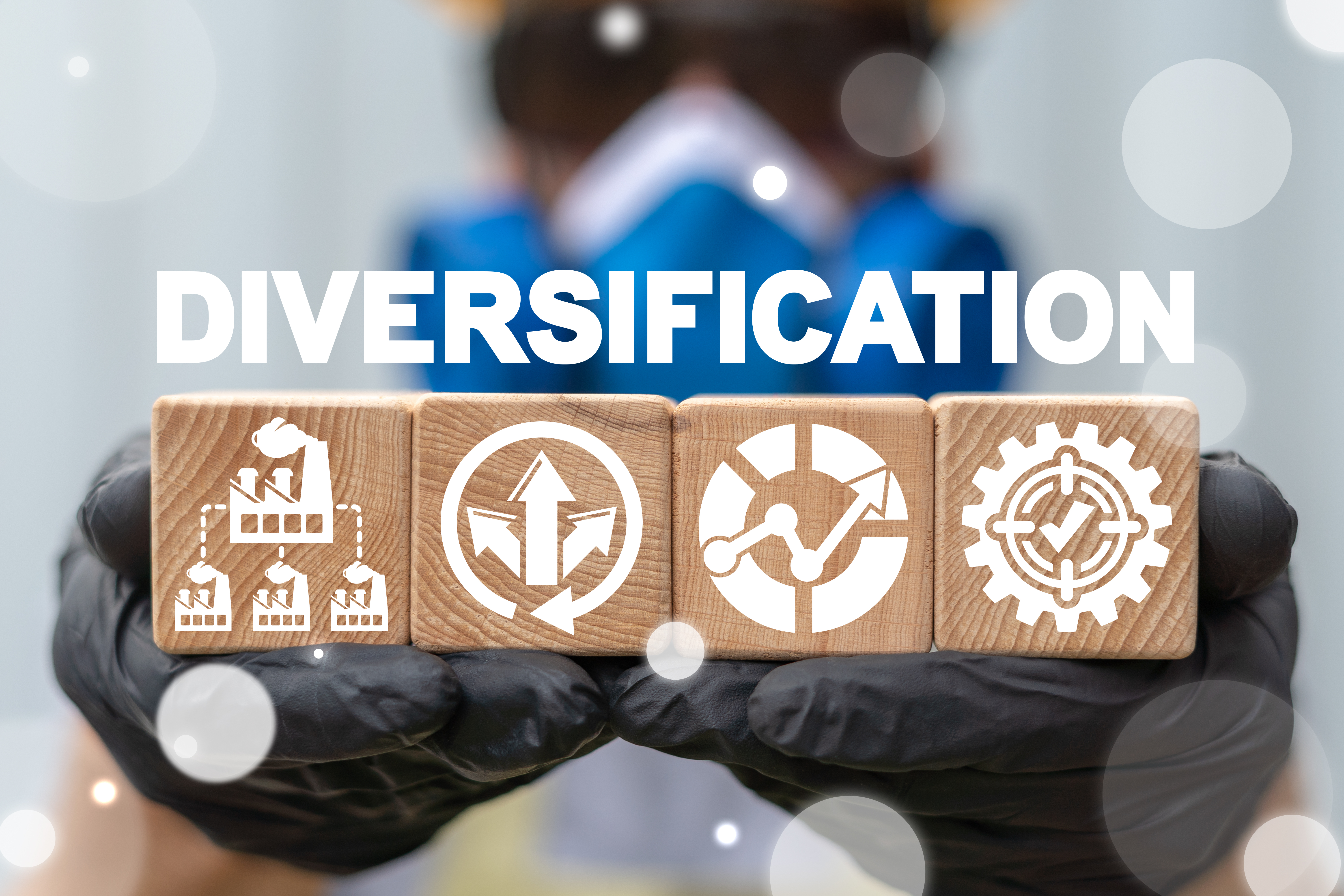 Diversification and the Family Business