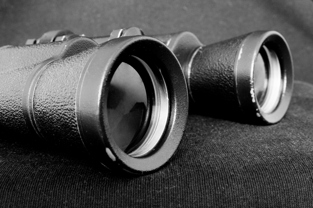 What Makes a Forecast Useful for a Family Business?